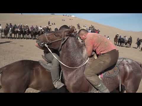 Видео: УЛАК. Кызыктын баары алдыда Ачы айылында Аламан Улук АЧЫ
