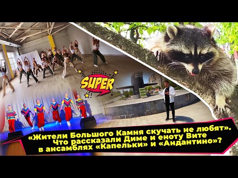 Видео: Енот и народ / Большой камень / 23.06.23