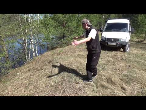 Видео: Обыкновенная гадюка или Vipera berus