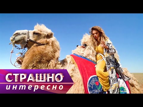 Видео: Калмыкия. Страшно интересно