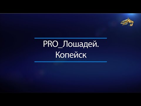 Видео: PRO_Лошадей. Копейск. 22 ноября 2020 года