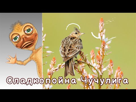 Видео: Сладкопойна Чучулига - Детска Песен - Текст