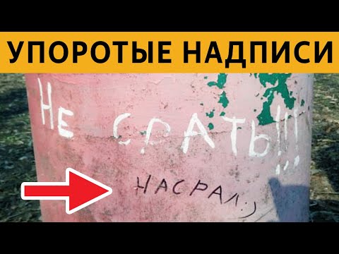 Видео: 150 САМЫХ УПОРОТЫХ ОБЪЯВЛЕНИЙ - НЕ СРАТЬ! НАСРАЛ :) ЛЮТЫЕ НАДПИСИ