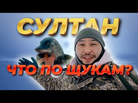 Видео: Предновогодняя рыбалка озеро СУЛТАНКЕЛЬДЫ / заповедник Коргалжын
