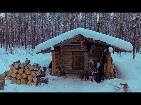 Видео: Пробиваю путики на мототолкаче. Заготовка дров в избушке.