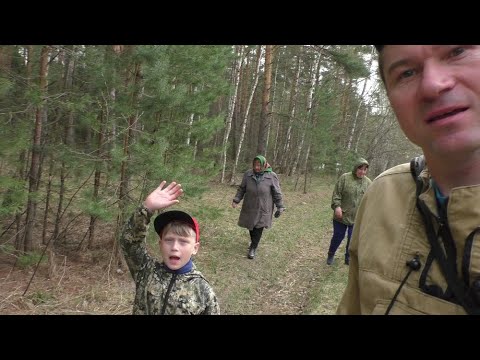 Видео: СЕМЕЙНЫЙ ПОХОД В ЛЕС ЗА ГРИБАМИ! ВЕСЕННИЕ ГРИБЫ РАДУЮТ!