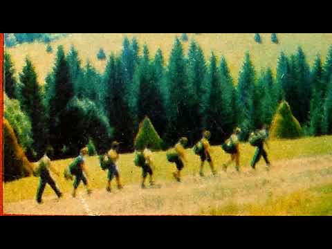 Видео: Міжгір"я. 1977