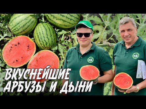 Видео: Сладкие порционные арбузы, вкусная ароматная зелень и нежные салаты. Семинар Семко. Финал. Часть 5