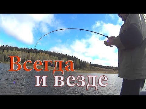 Видео: С чем уходить от ноля? Gan Craft Rest 128 SF и Piscifun Swimbait отлично ловят щуку!