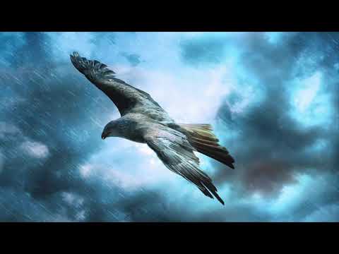 Видео: «ВЕТЕР ПЕРЕМЕН» молитвенное исцеляющее течение славы🌊🔥✨✨✨