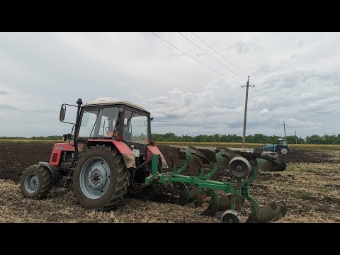Видео: Пашем "шабашку" #мтз892 #оборотныйплуг regent.