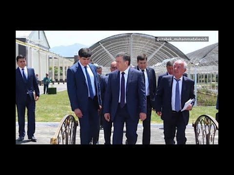 Видео: Президент куëвининг тунги пойгаси 201км/ч