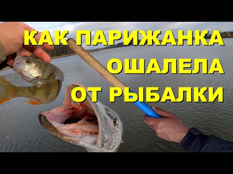 Видео: Ловля окуня с берега под мостом. Что удивило франзуженку на финской рыбалке