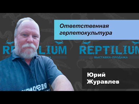 Видео: Ответственная герпетокультура