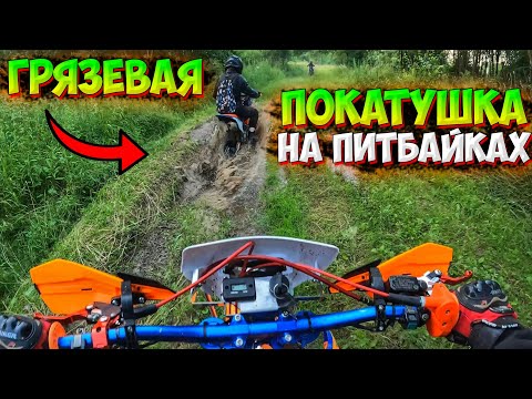 Видео: МЕСИМ ГРЯЗЬ НА ПИТБАЙКАХ В ЛЕСУ!? ПОКАТУШКА НА AVANTIS RX150E PREMIUM!