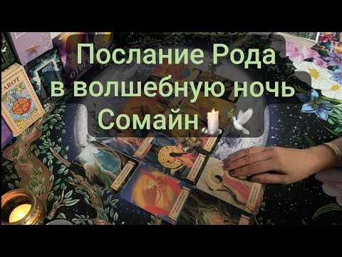 Видео: Послание Рода в волшебную ночь Сомайн🕊️✨🙏 #посланиерода #сомайн #хеллоуин #подсказкивселенной #таро