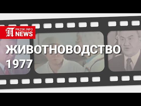 Видео: Животноводство Северного Казахстана КазССР, 1977 год