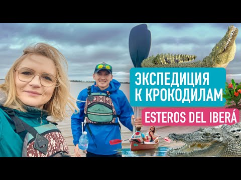 Видео: Экспедиция к крокодилам и капибарам. Эстерос дель Ибера. Аргентина