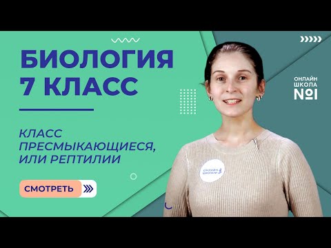 Видео: Класс Пресмыкающиеся, или Рептилии. Урок 23. Биология 7 класс