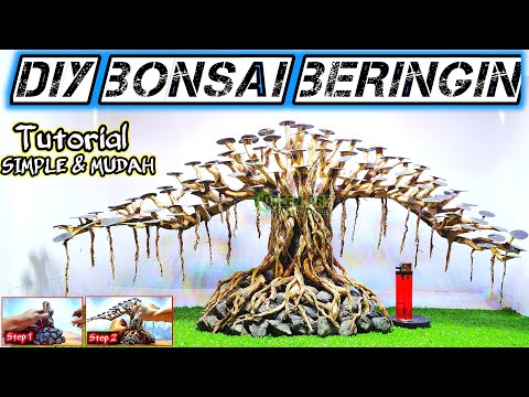 Видео: Как сделать баньяновый бонсай для акваскейпа