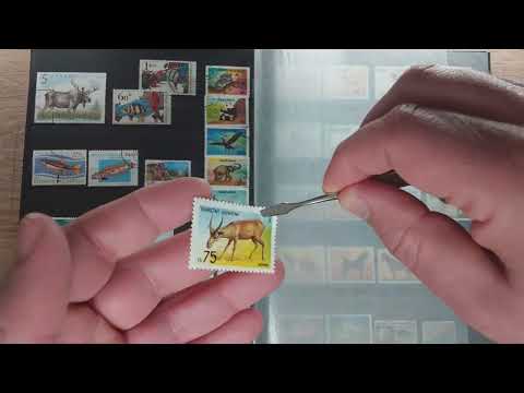 Видео: My stamps collection - fauna - part 9 - Коллекция почтовых марок мира фауна