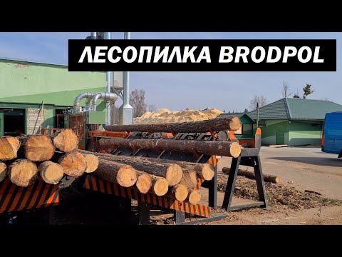 Видео: Линия лесопиления BRODPOL Длина бревен 6 м 450 мм (SAWMILL LINE )