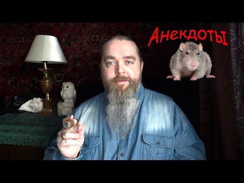 Видео: Анекдоты от Крыса, бородатые и хвостатые.