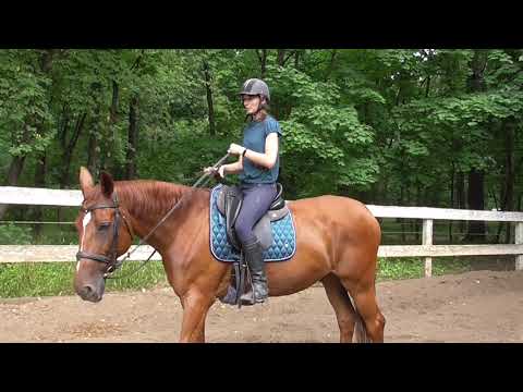 Видео: Улучшаем посадку для работы по вольту. Как развить чувство лошади часть3.
