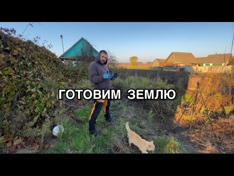 Видео: Подали документы. Прошла медицинскую комиссию. Воспоминания о бабушке.