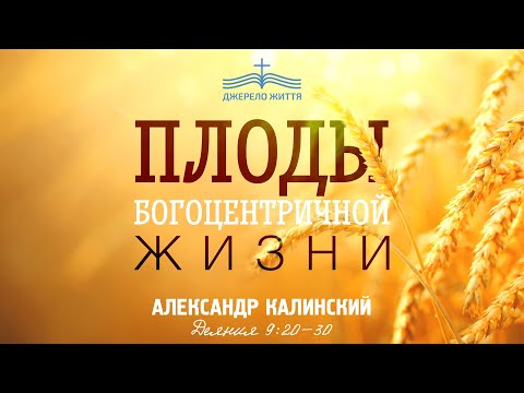 Видео: "Плоды богоцентричной жизни" Александр Калинский