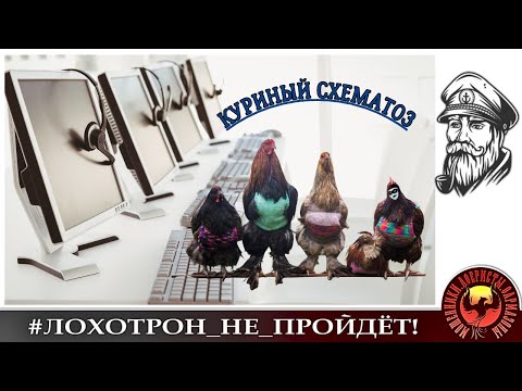 Видео: Курино-мошеннический схематоз. (Автор - моряк Андрей)