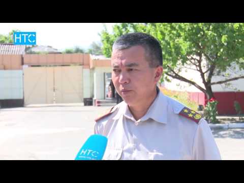 Видео: 25 же 50 миң сом. Бул аскердик билеттин акысыбы? / НТС / 26.08.16