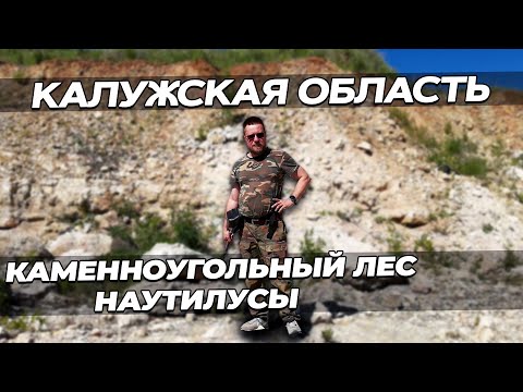 Видео: Палеонтологическая экспедиция по Калужской области