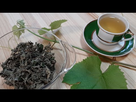 Видео: чай из виноградных листьев ферментированный 🍇