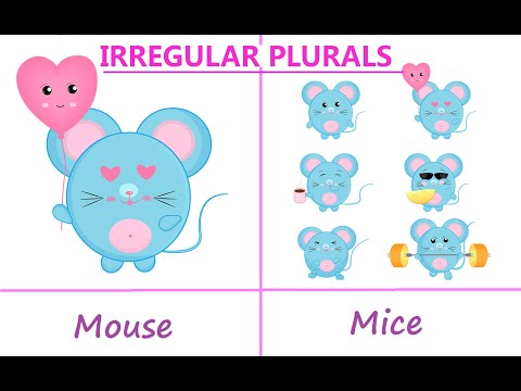 Видео: МНОЖЕСТВЕННОЕ ЧИСЛО СУЩЕСТВИТЕЛЬНЫХ - ИСКЛЮЧЕНИЯ | IRREGULAR PLURAL NOUNS | ENGLISH GRAMMAR FOR KIDS