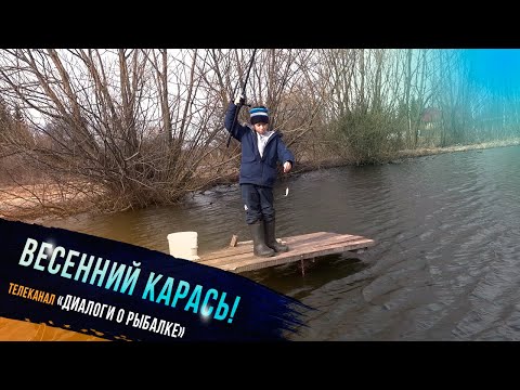 Видео: 🔥"Весенний карась на поплавок - участник проекта Клевое детство телеканала "Диалоги о рыбалке"