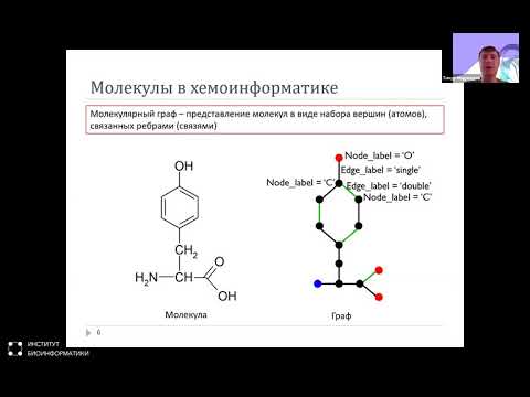 Видео: Хемоинформатика и дизайн малых молекул | Павел Полищук, Тимур Маджидов