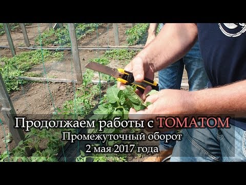 Видео: ШОК!!! А вы знали такое  про фосфор? Ликбез Геннадьевича) томат