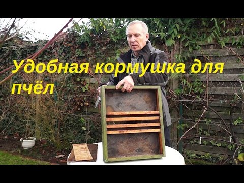 Видео: Как сделать кормушку для пчёл