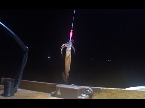 Видео: Первый выход на кальмар с лодки 2024