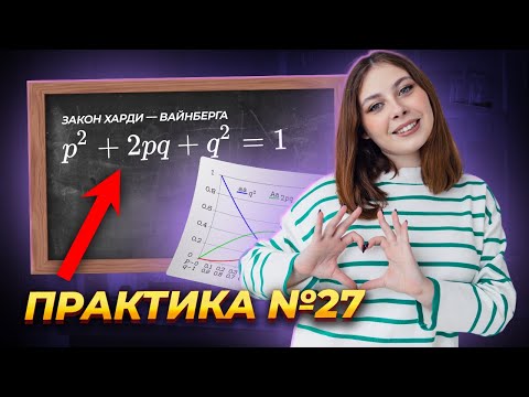 Видео: Закон Харди-Вайнберга: решение задания 27 из ЕГЭ по биологии | Биология ЕГЭ для 10 класса I Умскул
