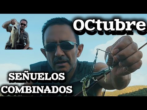 Видео: РЫБАЛКА НА ЧЕРНОГО ОКУНЯ. БОЛОТО ГУАДАЛЬМЕНА. СУПЕРЭФФЕКТИВНЫЕ ПРИМАНКИ С БЕРЕГА