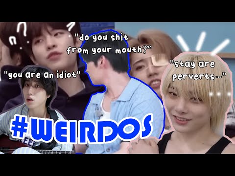 Видео: STRAY KIDS говорят самые странные и безумные вещи