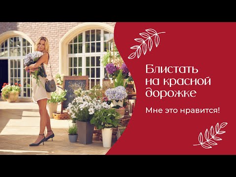 Видео: Блистать на красной дорожке | «Мне это нравится!» №164 (18+)