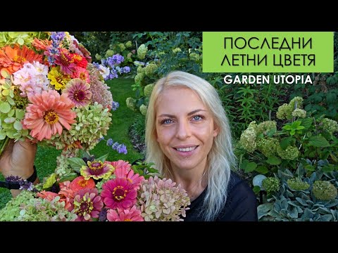 Видео: Пищни БУКЕТИ през ЕСЕНТА: #Ден 36 от 90 ДНИ НА СЕЛО