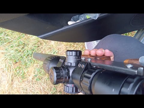 Видео: РСР 50м.jsb 0.87г.кнок.