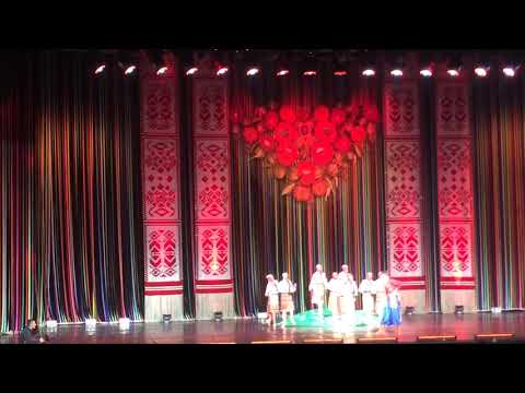 Видео: Ансамбль ім. П. Вірського      " Про що Верба плаче"