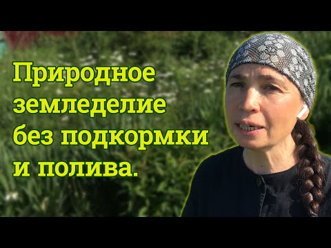 Видео: Умный огород 2020. Природное земледелие без подкормки и полива.