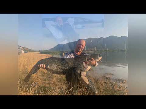 Видео: 155cm сом от проходилка / catfish clonk