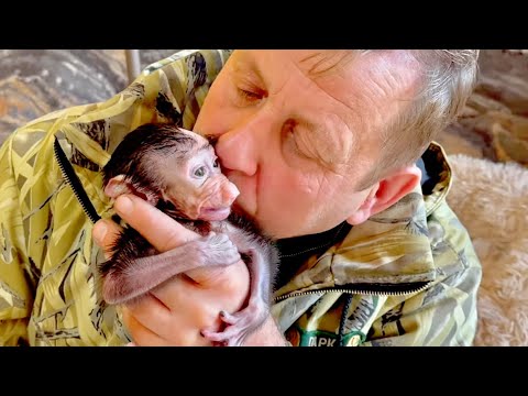 Видео: НЕВЕРОЯТНО! Олег Зубков НЕ ПРИСЫПЛЯЯ мама гамадрила просто взял у нее маленькую Анфису для осмотра!!